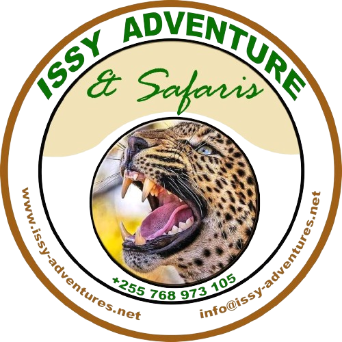 Issy Adventures logo