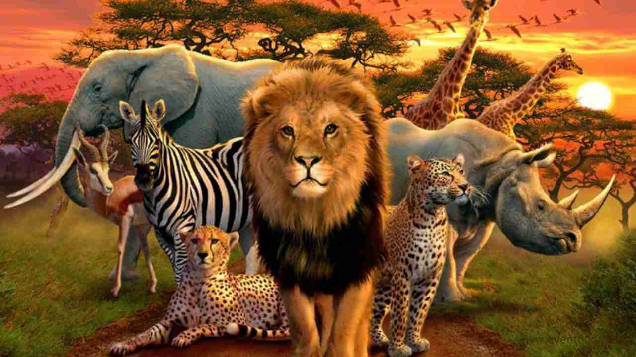 Issy Adventures safari guests in Tanzania