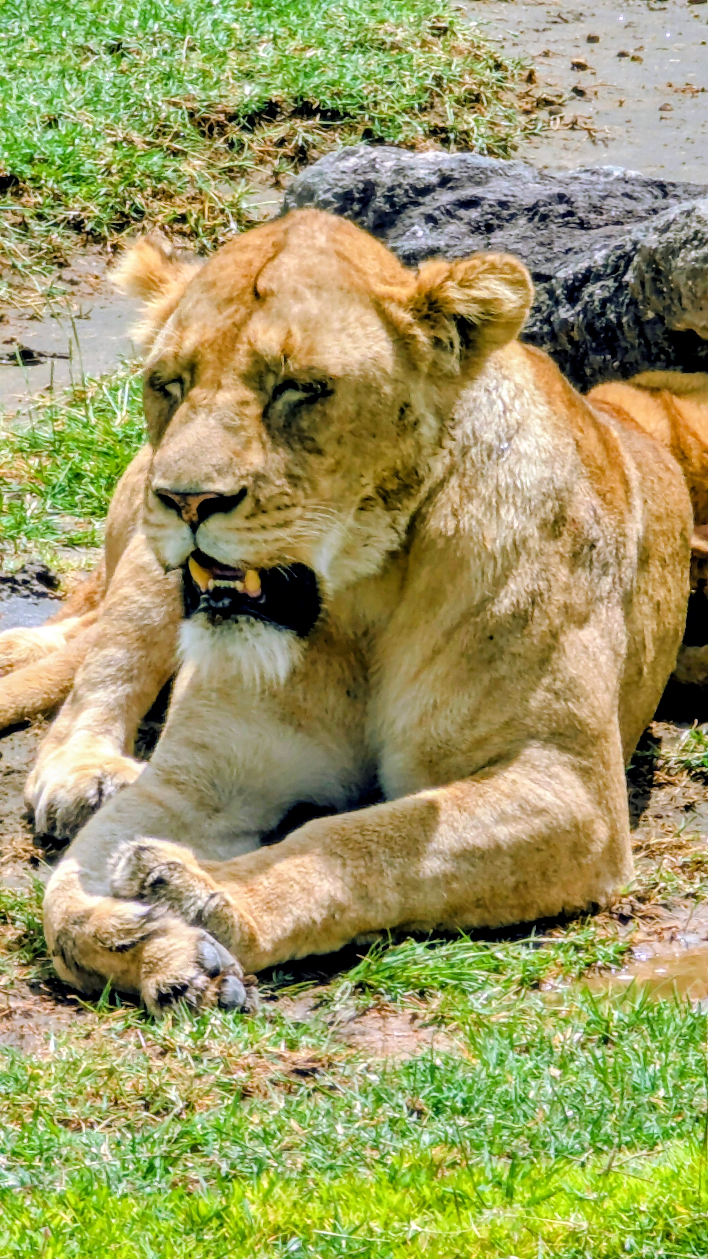 Tarangire & Ngorongoro Crater