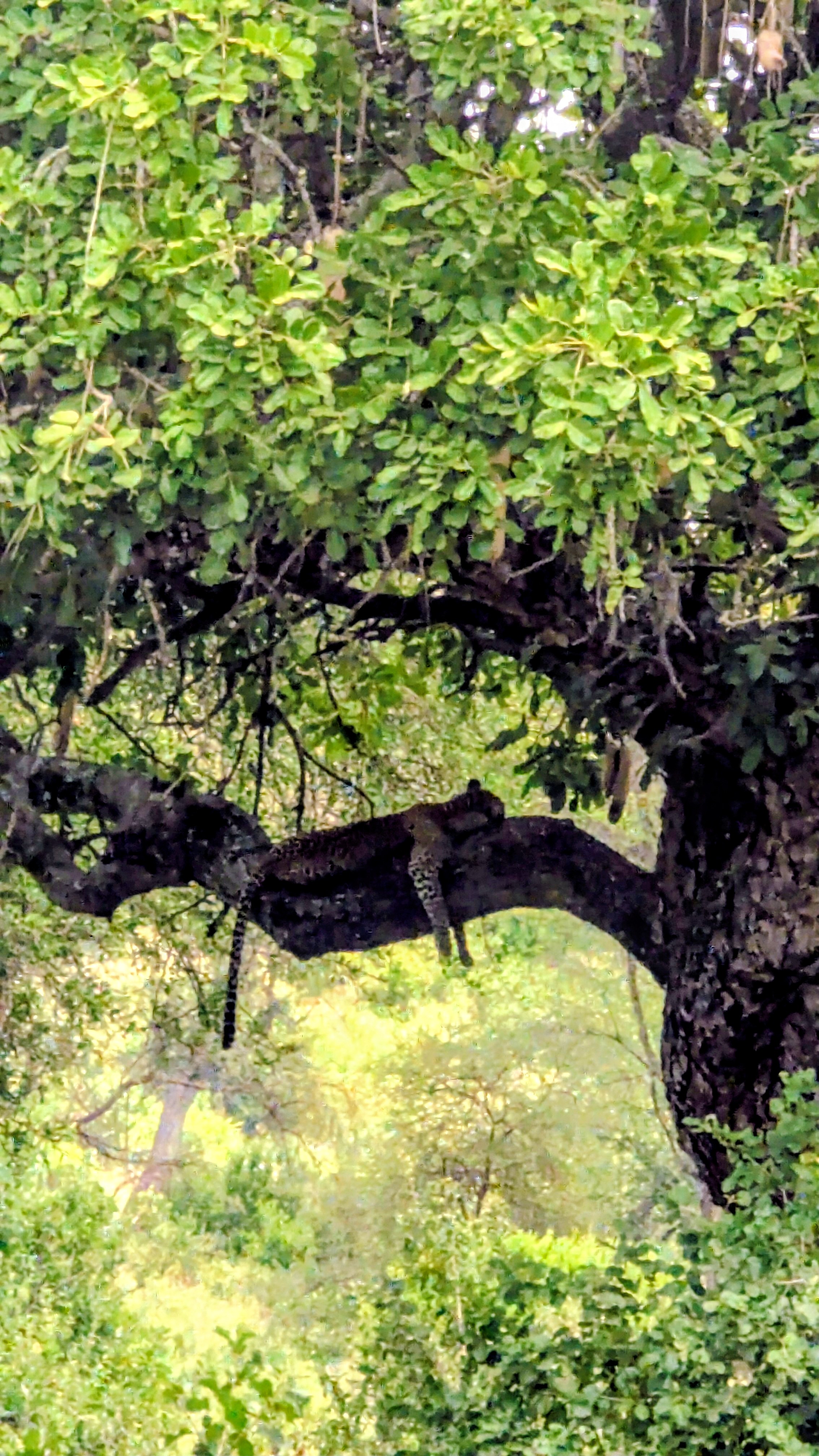 Tarangire & Ngorongoro Crater