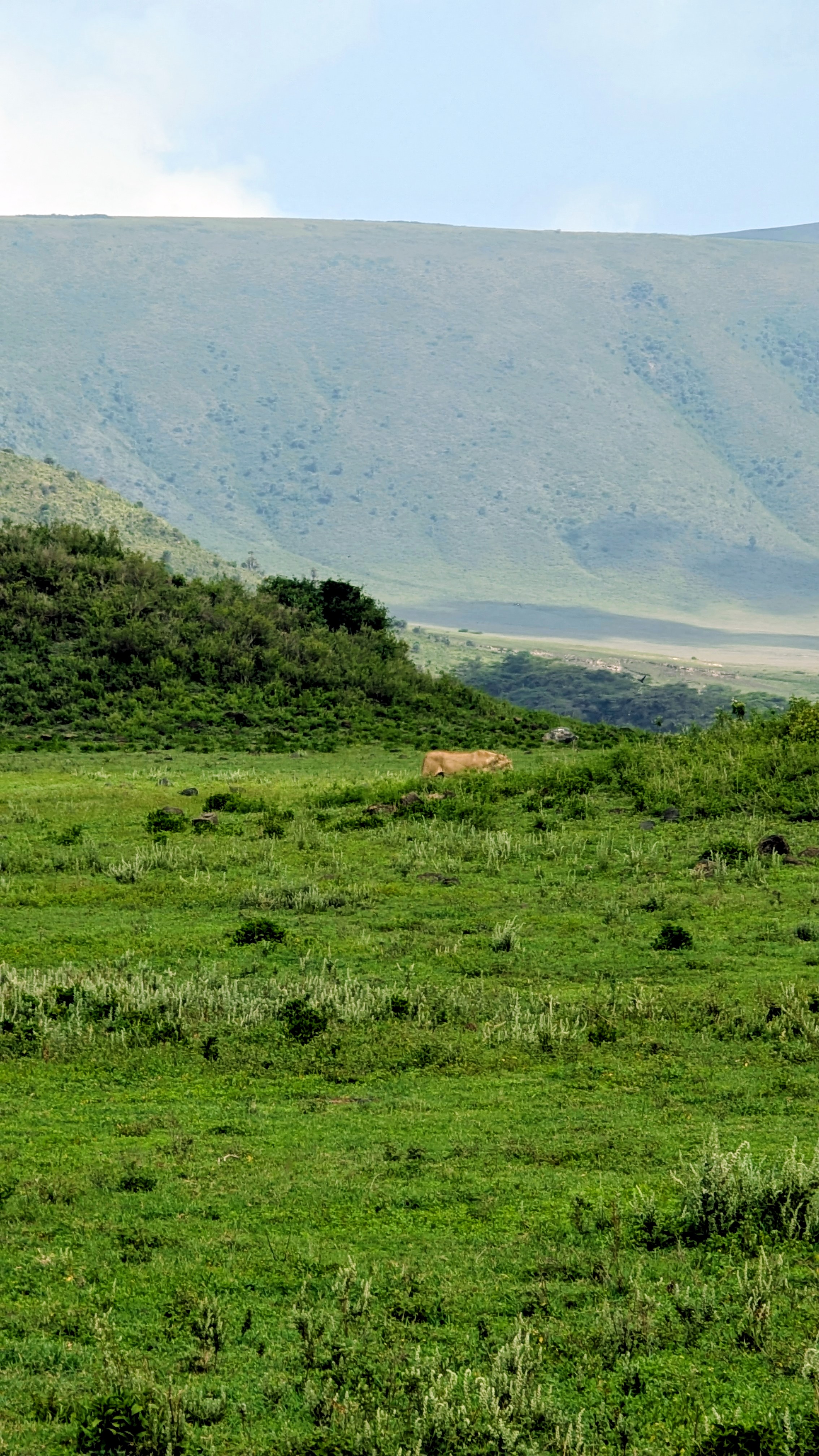 Tarangire & Ngorongoro Crater