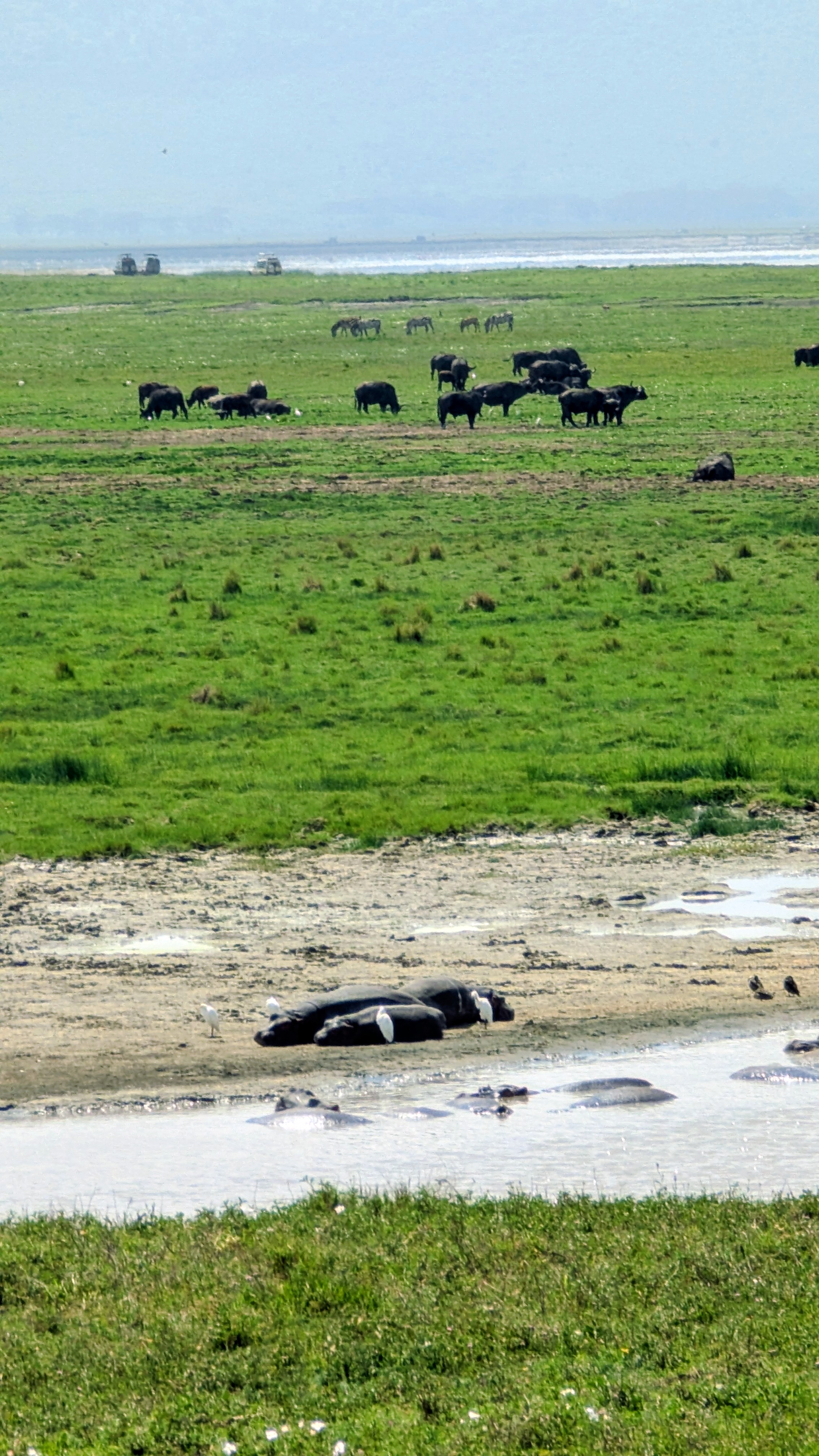 Tarangire & Ngorongoro Crater