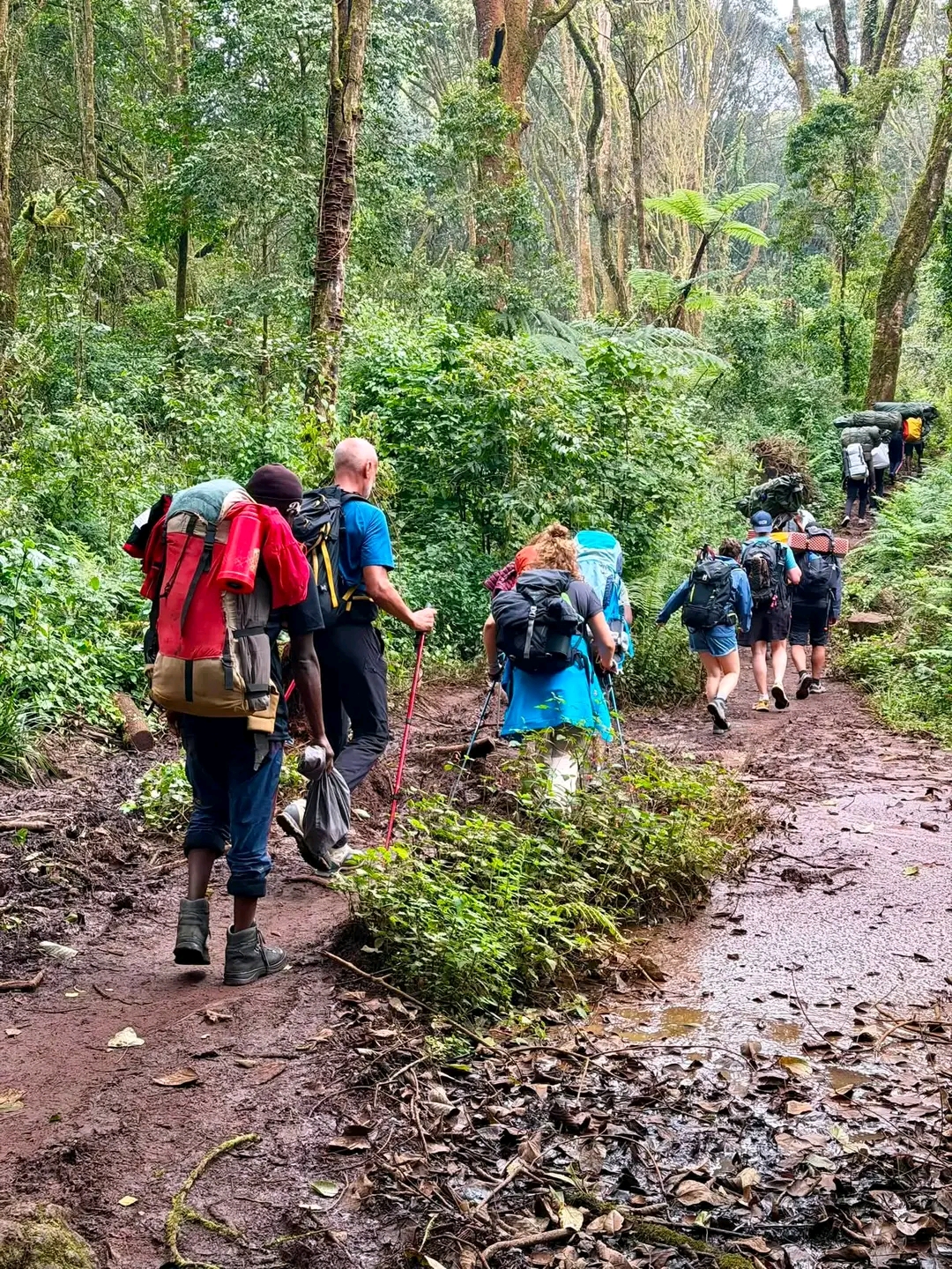 Machame Route (6 Days)