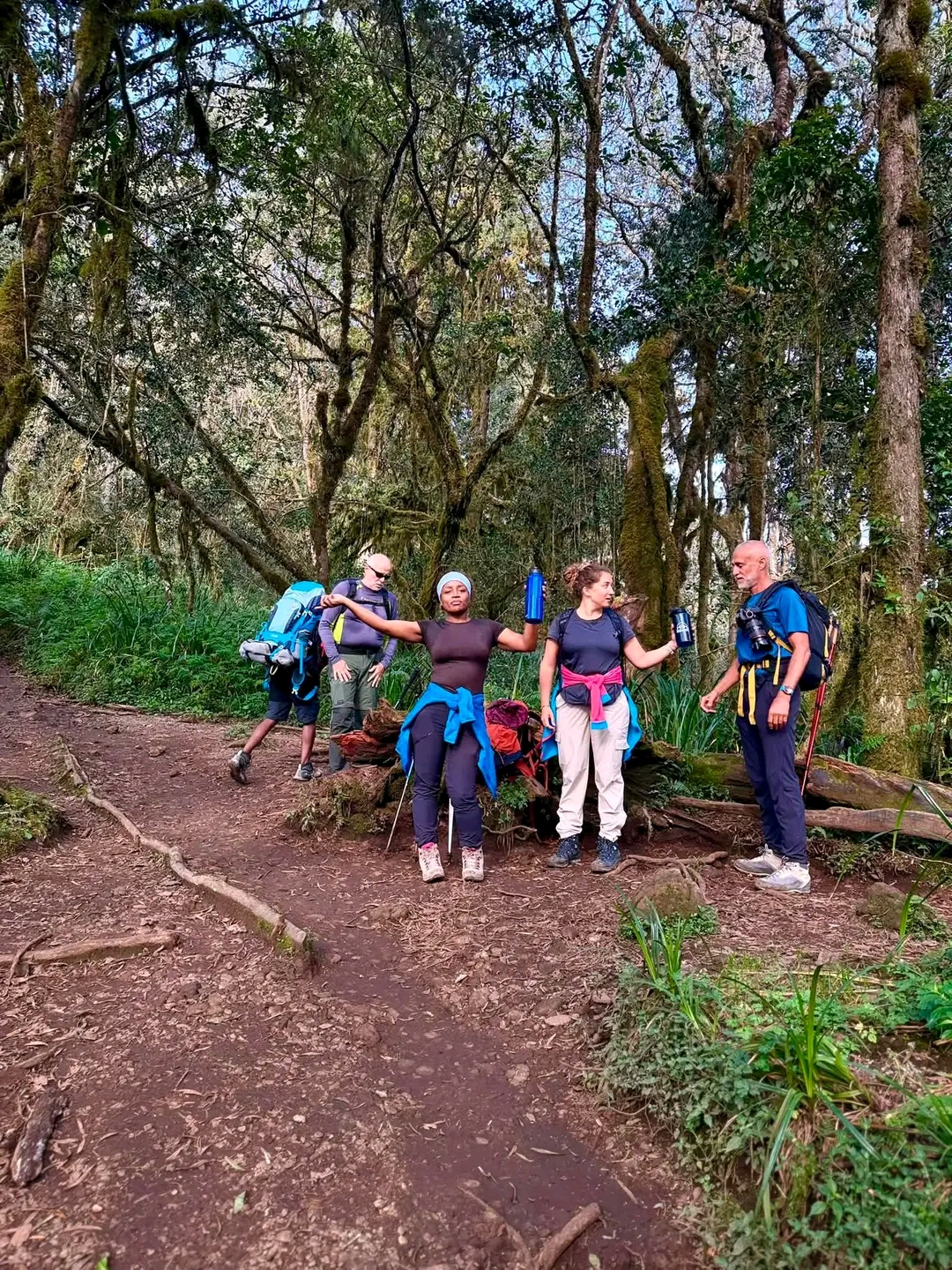 Machame Route (6 Days)