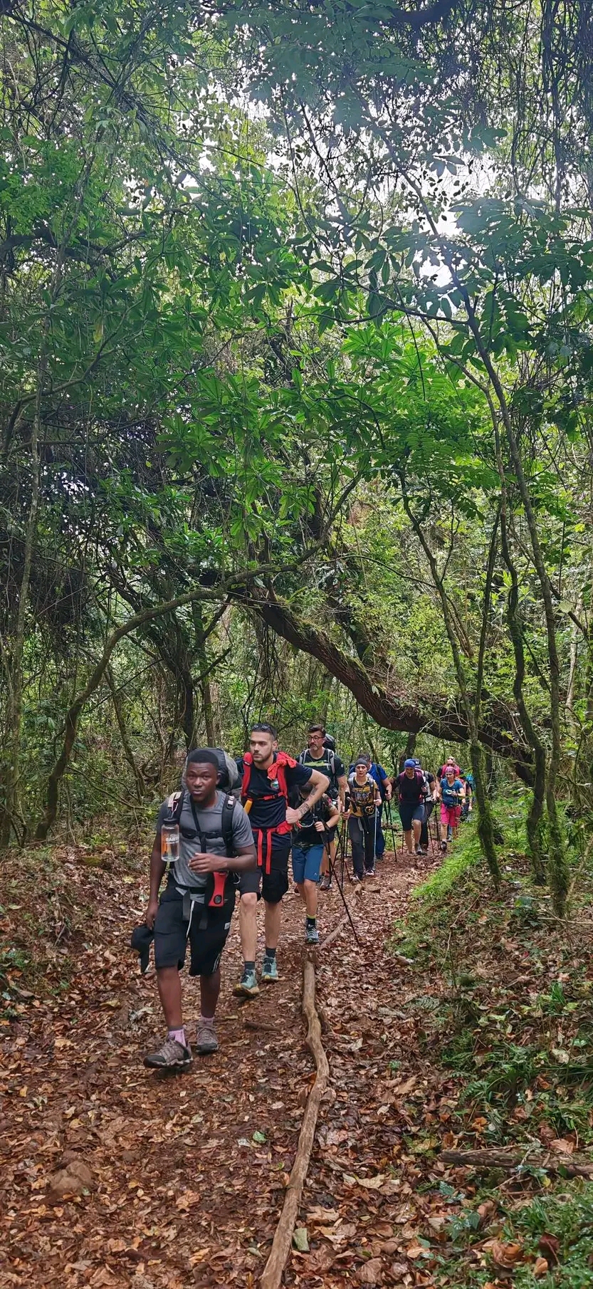 Marangu Route